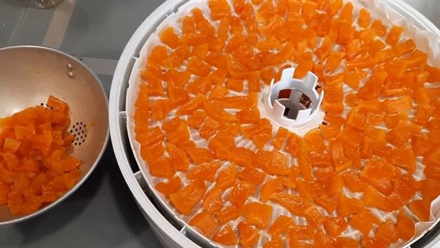 Исторические Открытия