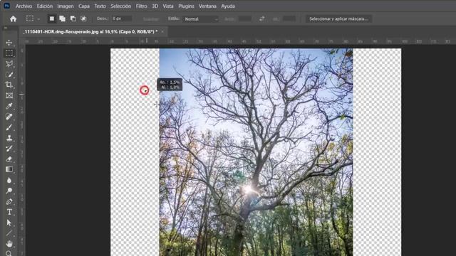 ⭐ Relleno generativo con MÁXIMA CALIDAD en Photoshop beta ? смотреть онлайн