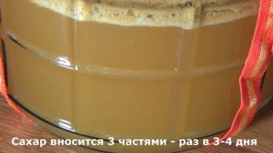 Яблочный сидр