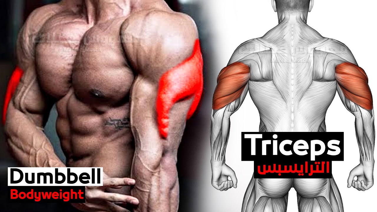 Как накачать трицепс в дома условиях (гантели - собственный вес) смотреть онлайн