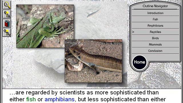 Biology: Classification of Vertebrates: Reptiles смотреть онлайн