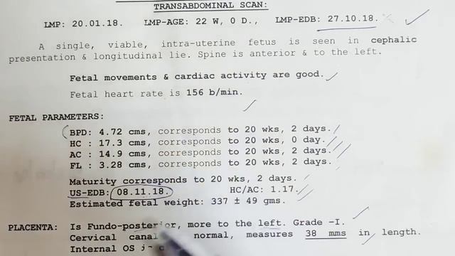 5th month Anamoly scan report for boy in tamil/Detailed explanation in tamil #boybaby #5thmonth смотреть онлайн