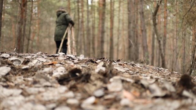Build Natural Bushcraft Shelter | TIPI Cabin With Door In The Woods