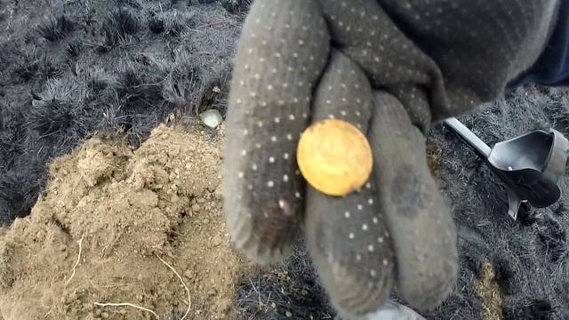 Что это??? КЛАД??? Коп с металлоискателем 2018. Gold Beard смотреть онлайн