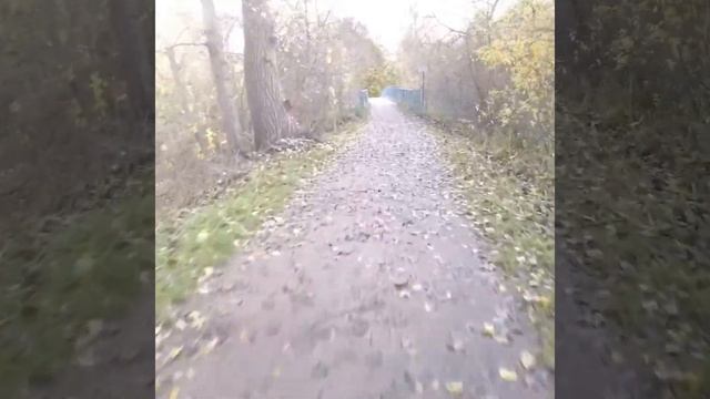 Bad Oldesloe MTB Runde 11.11.2018 смотреть онлайн