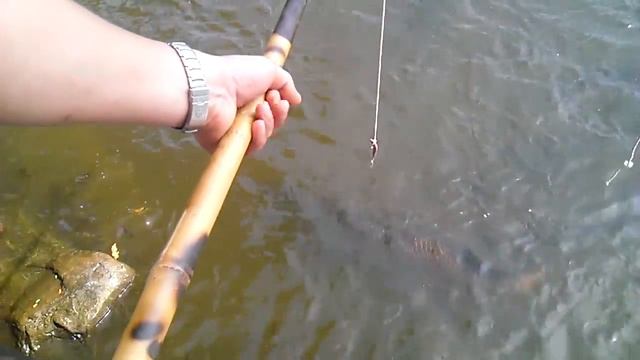 Ловля рыбы смотреть онлайн