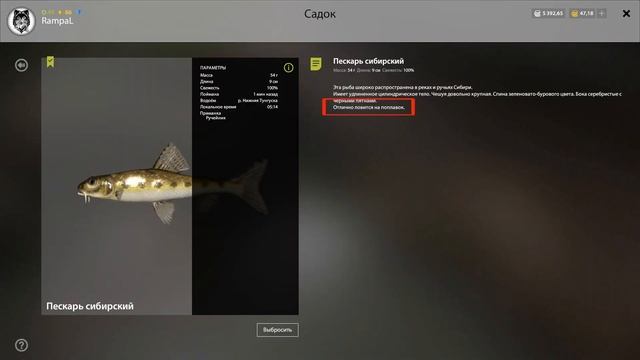 Русская Рыбалка 4! Russian Fishing 4! Нижняя Тунгуска - Ряпушка на пристани! смотреть онлайн