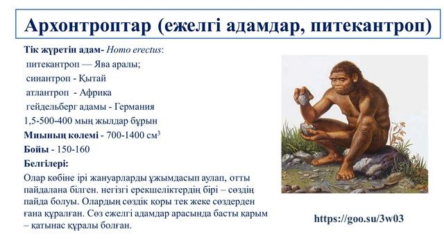 III - тоқсан, Биология, 10 сынып, Антропогенез кезеңдері. Проантроптар. Архантроптар. Палеоантропта смотреть онлайн