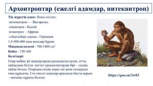 III - тоқсан, Биология, 10 сынып, Антропогенез кезеңдері. Проантроптар. Архантроптар. Палеоантропта