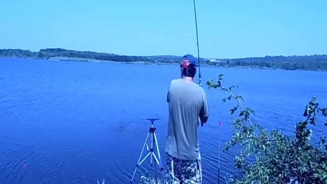 Александровское водохранилище смотреть онлайн