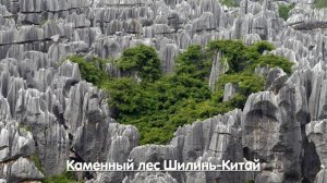 Китай-Каменный лес Шилинь! Первое чудо Света!
