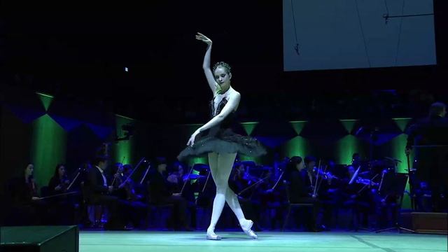 2014 볼쇼이 솔리스트 갈라콘서트 Tchaikovsky -- Pas De Deux (from 
