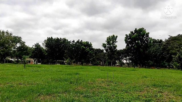 Practicing Inverted Flight With My Omp M2 | The Best For Beginners RC Helicopter