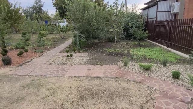 Живём в Мире и Согласии... смотреть онлайн