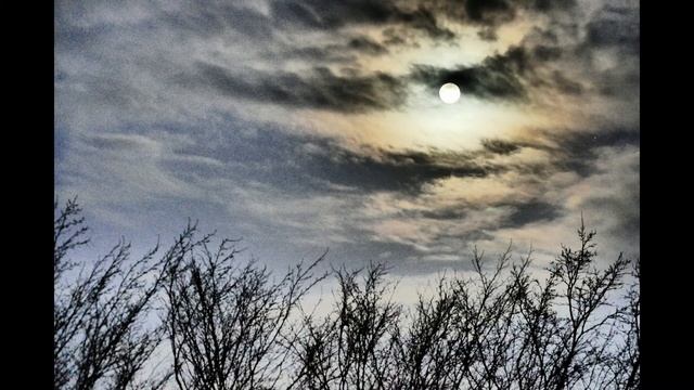 Горные Вершины- М. Лермонтов смотреть онлайн