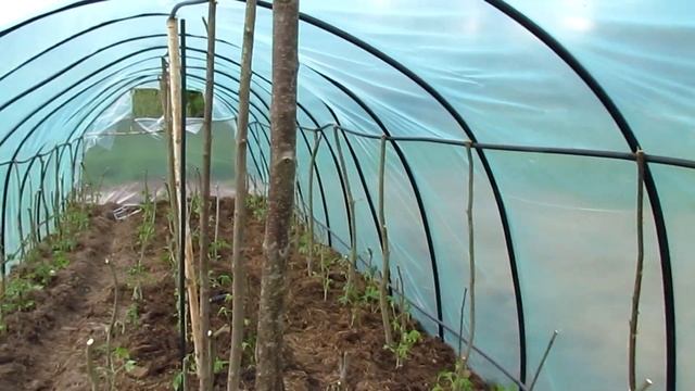 Теплица из ПНД трубы 25мм - Сделано! смотреть онлайн