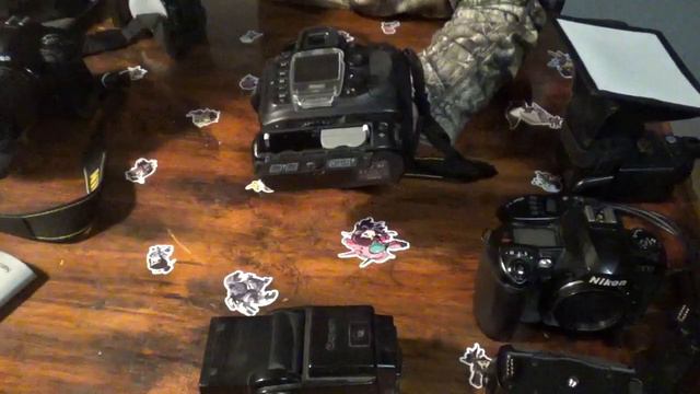 Beginning Photography on the cheap 101 (Part 1) (Nikon D100) (ALL Cameras) смотреть онлайн