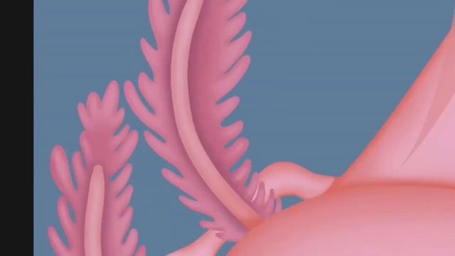 Аксотль | Рисую Аксолотля | Speed Paint смотреть онлайн