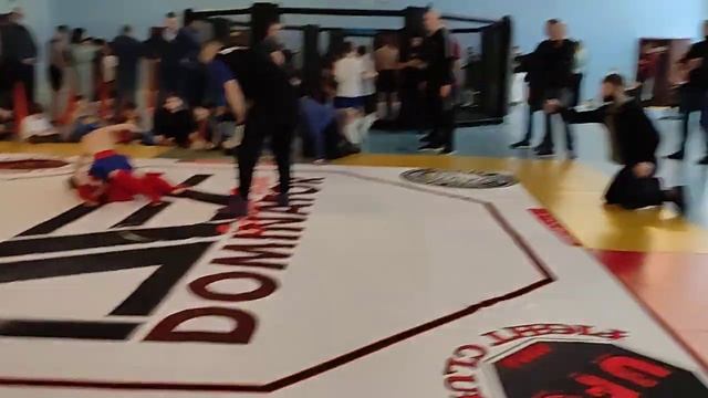 Dominator Extreme Fight 13 -49 смотреть онлайн