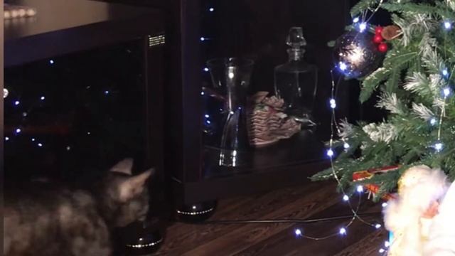 ОБМЕН ПОДАРКАМИ С ПОДРУГАМИ❗️? На НГ? смотреть онлайн