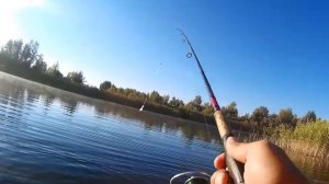 Как пользоваться безынерционной катушкой и почему она приоритетнее мультипликаторной или инерционной