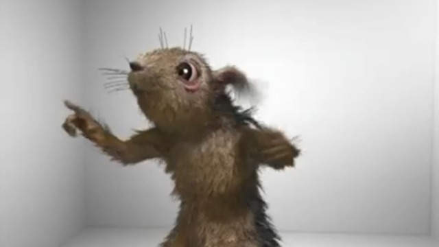 Реклама Адская белочка