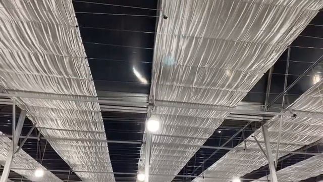 Выгонка тюльпанов . Зашторивание в теплице. смотреть онлайн