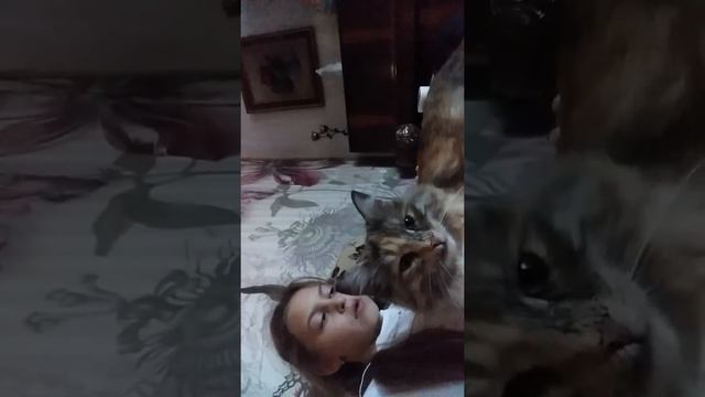 Неудачный дубль опять выключился телефон смотреть онлайн