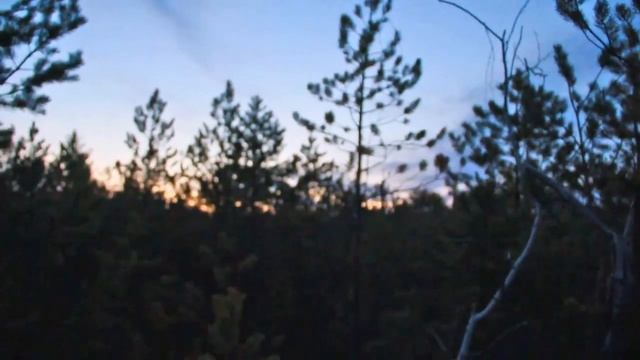 Попали в разгар глухариного тока. Охота на глухаря весной. смотреть онлайн