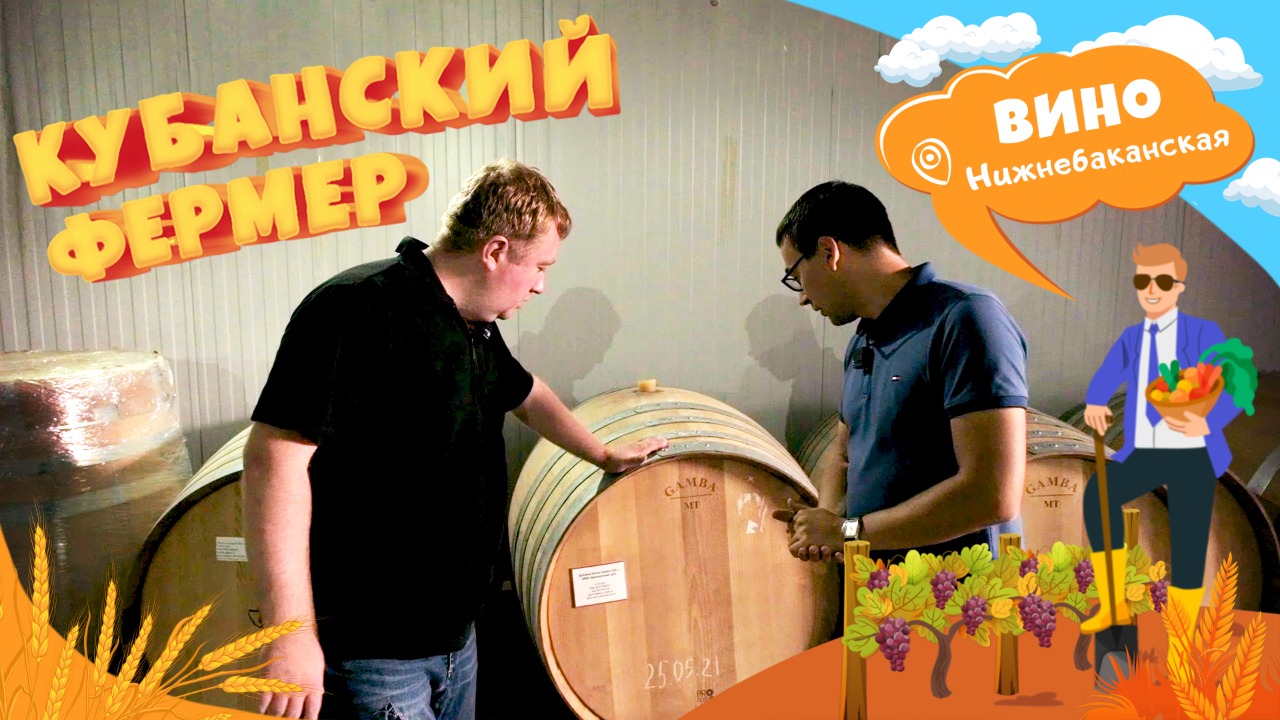 Производство премиум вина на маленькой винодельне. Аграрный бизнес в посёлке Нижнебаканская