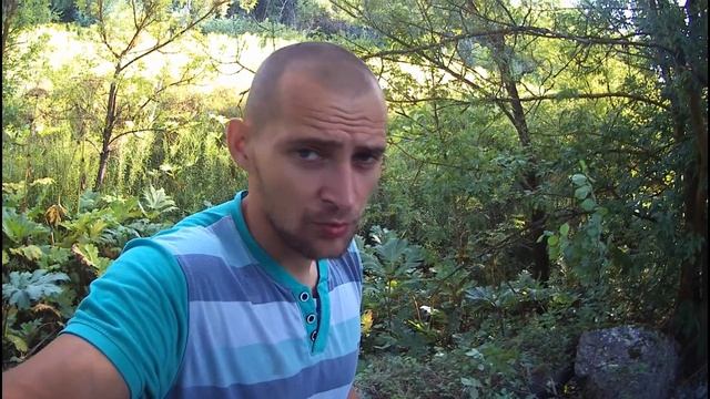 В ШОКЕ ОТ НАЧИНКИ ЭТОЙ ПЛИТЫ. ЗАРАБОТОК НА АРМАТУРЕ. КОП МЕТАЛЛОЛОМА. смотреть онлайн