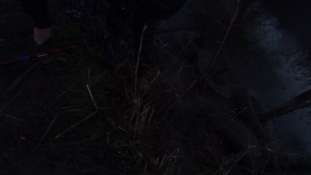 рыбалка на Кубани в Курчанском лимане 23 ноября дождик дал половить только 40 минут смотреть онлайн