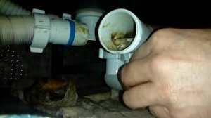 Не уходит вода из ванны. Засорился сифон, чистим.