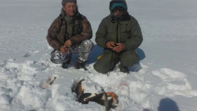 Кольская Тундра.май 2017. смотреть онлайн