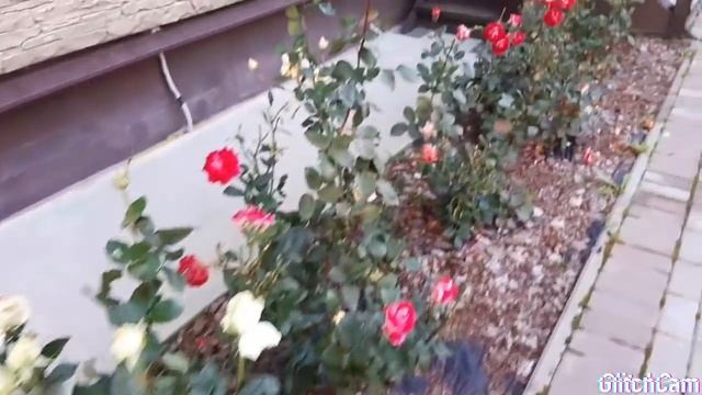 Ремонтная Фантазия