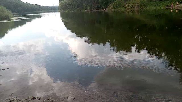 Обзор пляжа " Собачивка". Донец, Лисичанск... смотреть онлайн