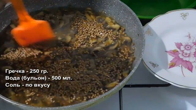 Животные в Зоопарках