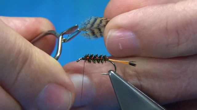 Tying The Hardy's Favourite (Wet Fly) With Davie McPhail