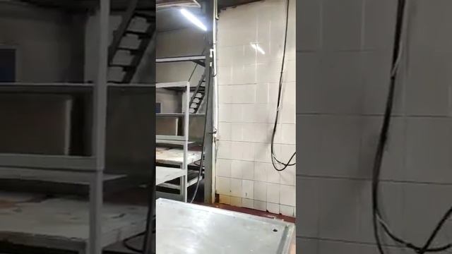 Линия убоя свиней 120 голов в час смотреть онлайн
