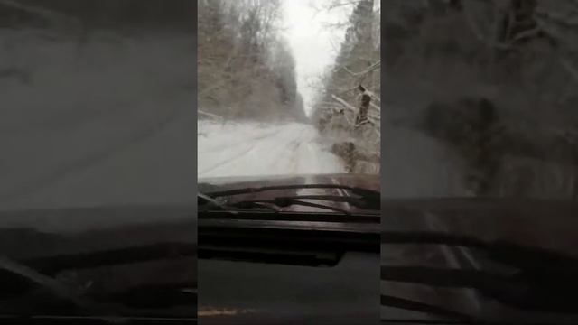 Ездим там где волки срать бояться смотреть онлайн