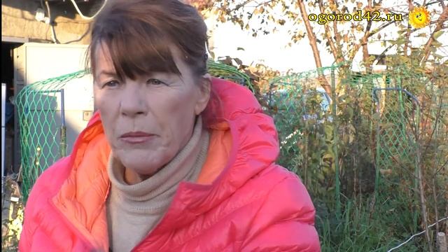 Осенние работы в цветнике. Три главных условия успешного выращивания георгинов смотреть онлайн