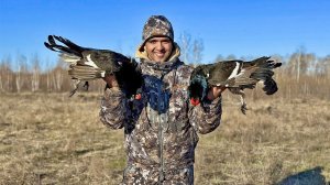 Весенняя охота на тетеревином току | Вся красота весеннего тока!