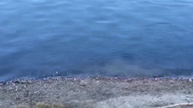 У ДОБРОДЕЛОВ НОВЫЙ СЛЕПОЙ ГЕРОЙ С ПЕНСИЕЙ! ДОБРОЕ ДЕЛО. смотреть онлайн