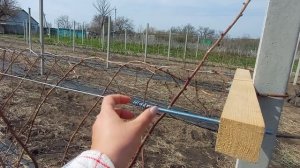 Как сделать шпалеру для летней малины на БЕТОННЫХ СТОЛБАХ