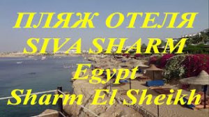 Пляж отеля SIVA SYARM 5_  Egypt  Sharm El Sheikh
