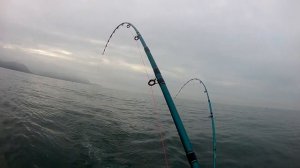 ТРОЛЛИНГ/СИМА/ПОКЛЁВКА/СЕЗОН 2022г