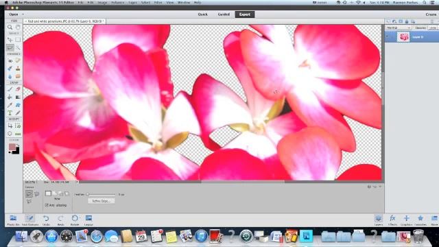 Easy Peasy Embellishments with Photoshop Elements 11 смотреть онлайн