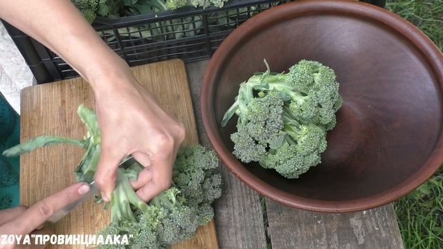 Урожай БРОККОЛИ/ Заготовка-Заморозка/ИЮЛЬ/ #брокколи #деревня #урожай #broccoli смотреть онлайн