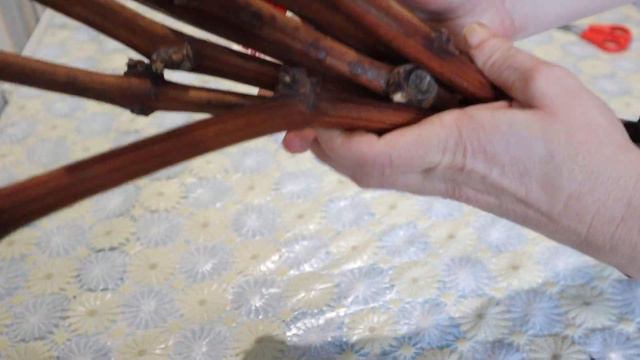 Начало ЭКСПЕРИМЕНТА по укоренению "толстых" черенков. смотреть онлайн