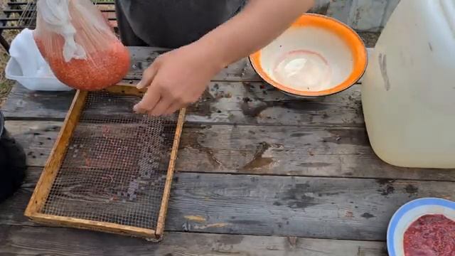 КАК ПРАВИЛЬНО СОЛИТЬ КРАСНУЮ ИКРУ. КРАСНАЯ ИКРА. РЕЦЕПТ ОТ КУХНЯ АБОРИГЕНА. смотреть онлайн